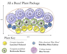 Load image into Gallery viewer, All a Buzz! Plant Package - 18 plants