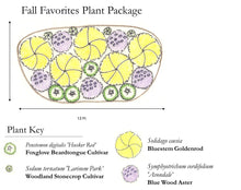 Load image into Gallery viewer, Fall Favorites Plant Package - 19 plants