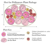 Load image into Gallery viewer, Hot for Pollinators Plant Package - 18 plants