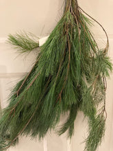 Load image into Gallery viewer, White Pine Tips (Bunch)