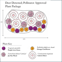 Load image into Gallery viewer, Deer Detested, Pollinator Approved Plant Package - 19 plants
