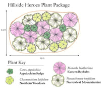 Load image into Gallery viewer, Hillside Heroes Plant Package - 19 plants

