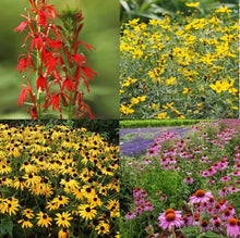Load image into Gallery viewer, Wonderful for Wildlife Plant Package - 20 plants

