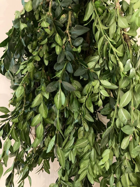 Boxwood Garland