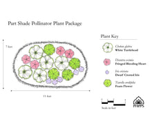 Load image into Gallery viewer, Part Shade Pollinator Plant Package - 18 plants

