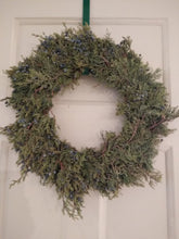 Load image into Gallery viewer, Solid Blue Berried Juniper Wreath
